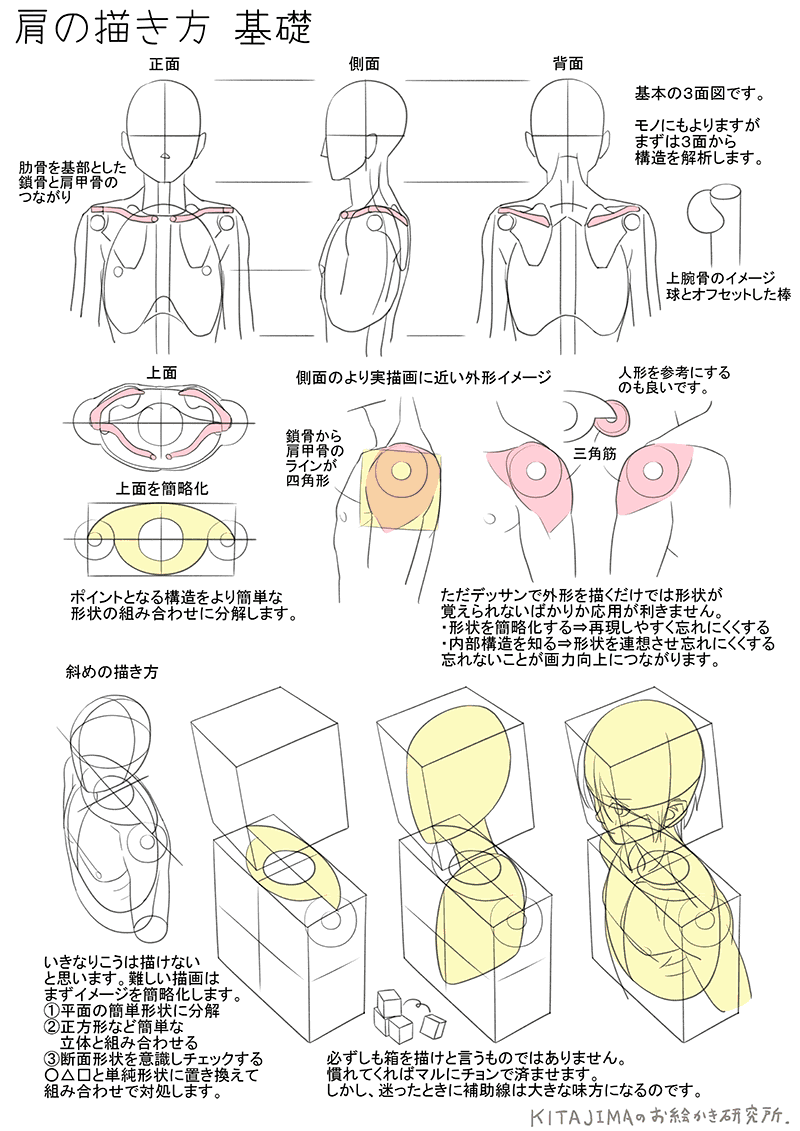 肩まわり 上級編 Kitajimaのお絵かき研究所