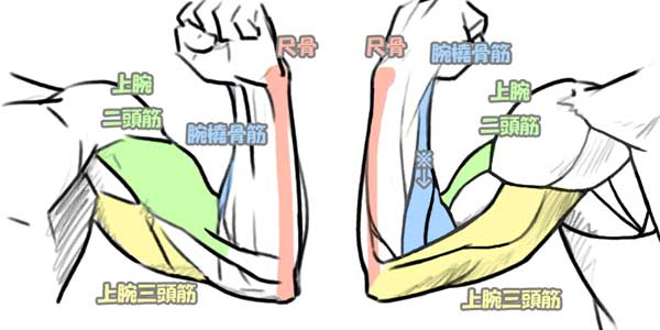 腕まわり 腕の動き方 Kitajimaのお絵かき研究所