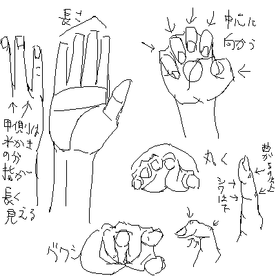 手の描き方 Kitajimaのお絵かき研究所