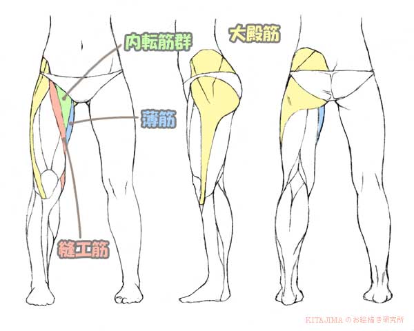 下半身 Kitajimaのお絵かき研究所