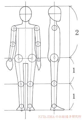 Basic figure drawing 1