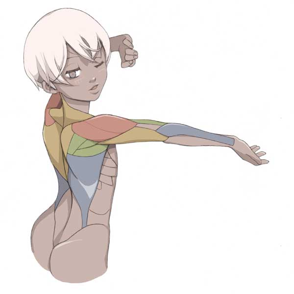 Back Muscles Drawing Reference Female - MrFoobar's DeviantArt